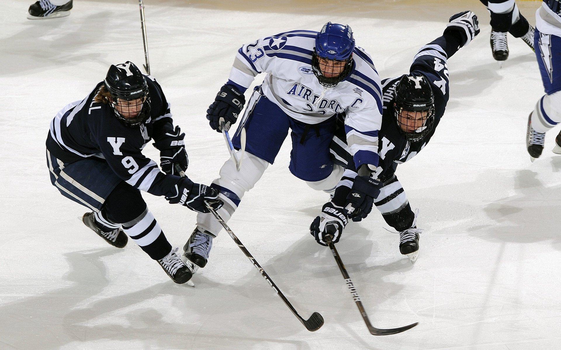雪橇世锦赛激战正酣，德国队包揽双人项目冠亚军：熊猫体育官方网站