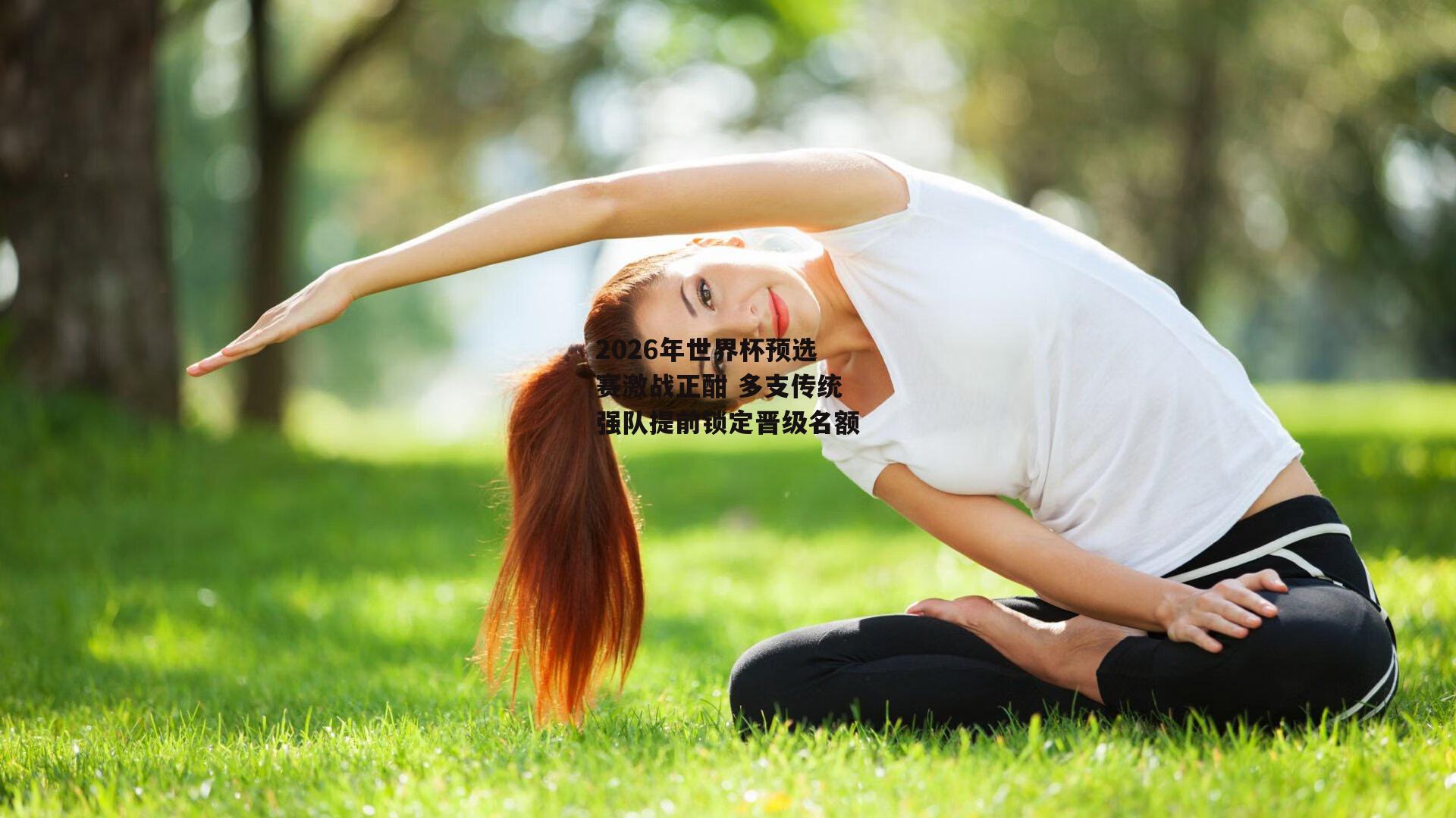 2026年世界杯预选赛激战正酣 多支传统强队提前锁定晋级名额