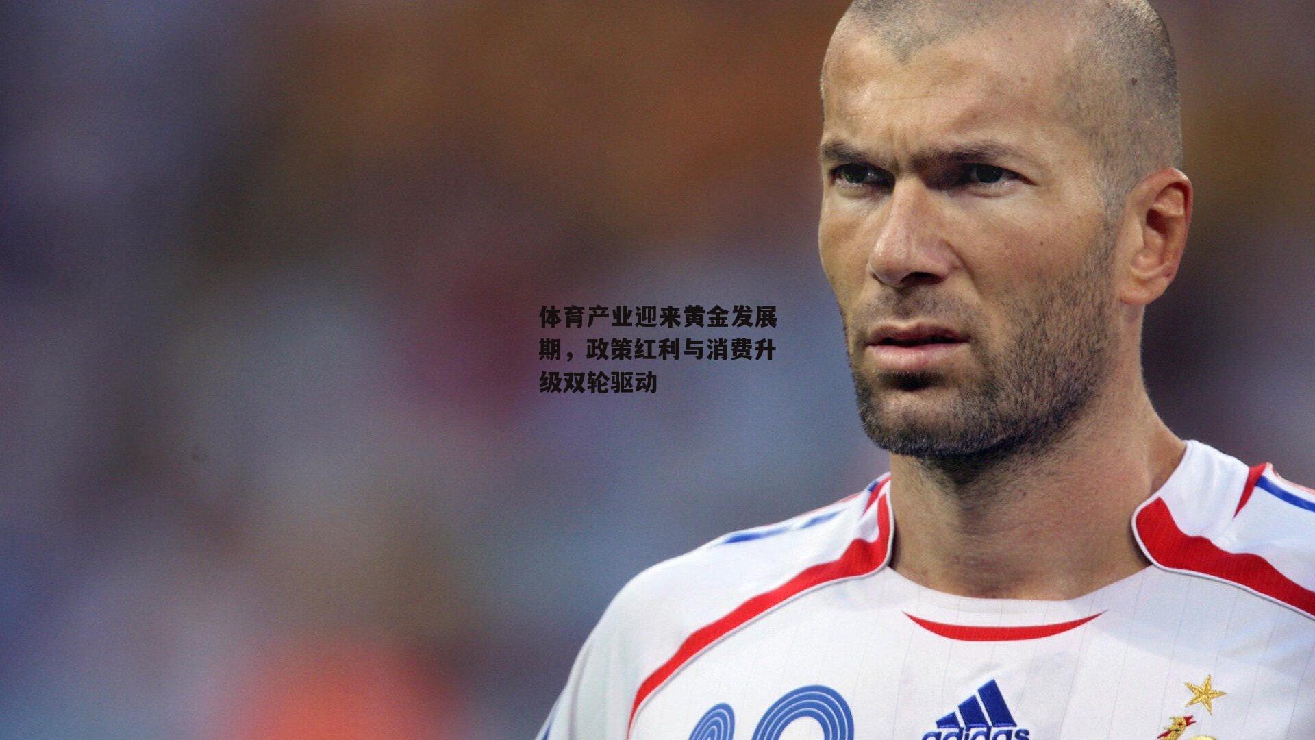 熊猫体育平台-体育产业迎来黄金发展期，政策红利与消费升级双轮驱动