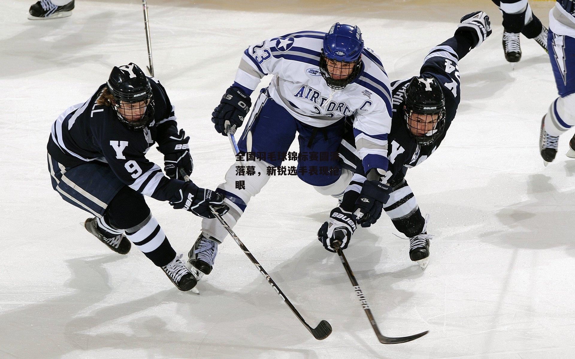 全国羽毛球锦标赛圆满落幕，新锐选手表现抢眼
