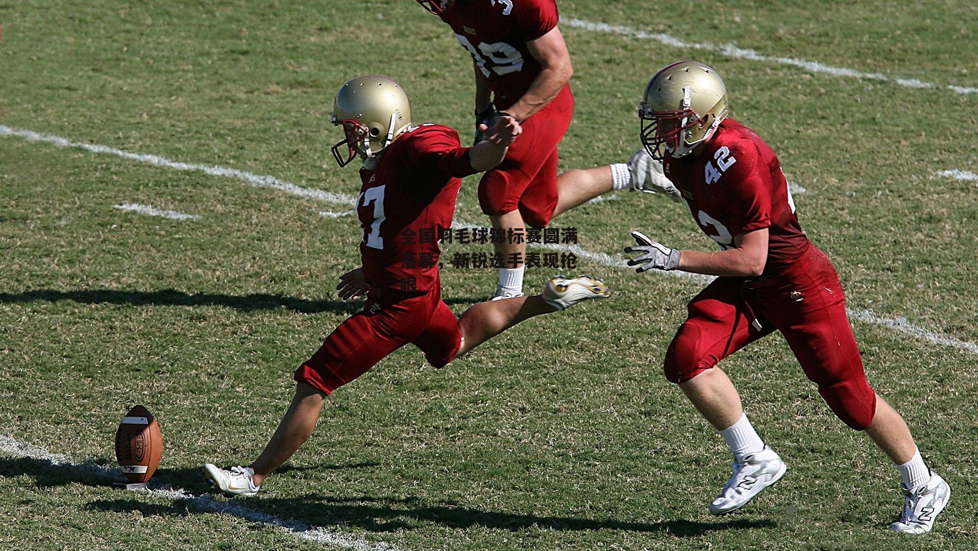 全国羽毛球锦标赛圆满落幕，新锐选手表现抢眼-熊猫体育官方网站