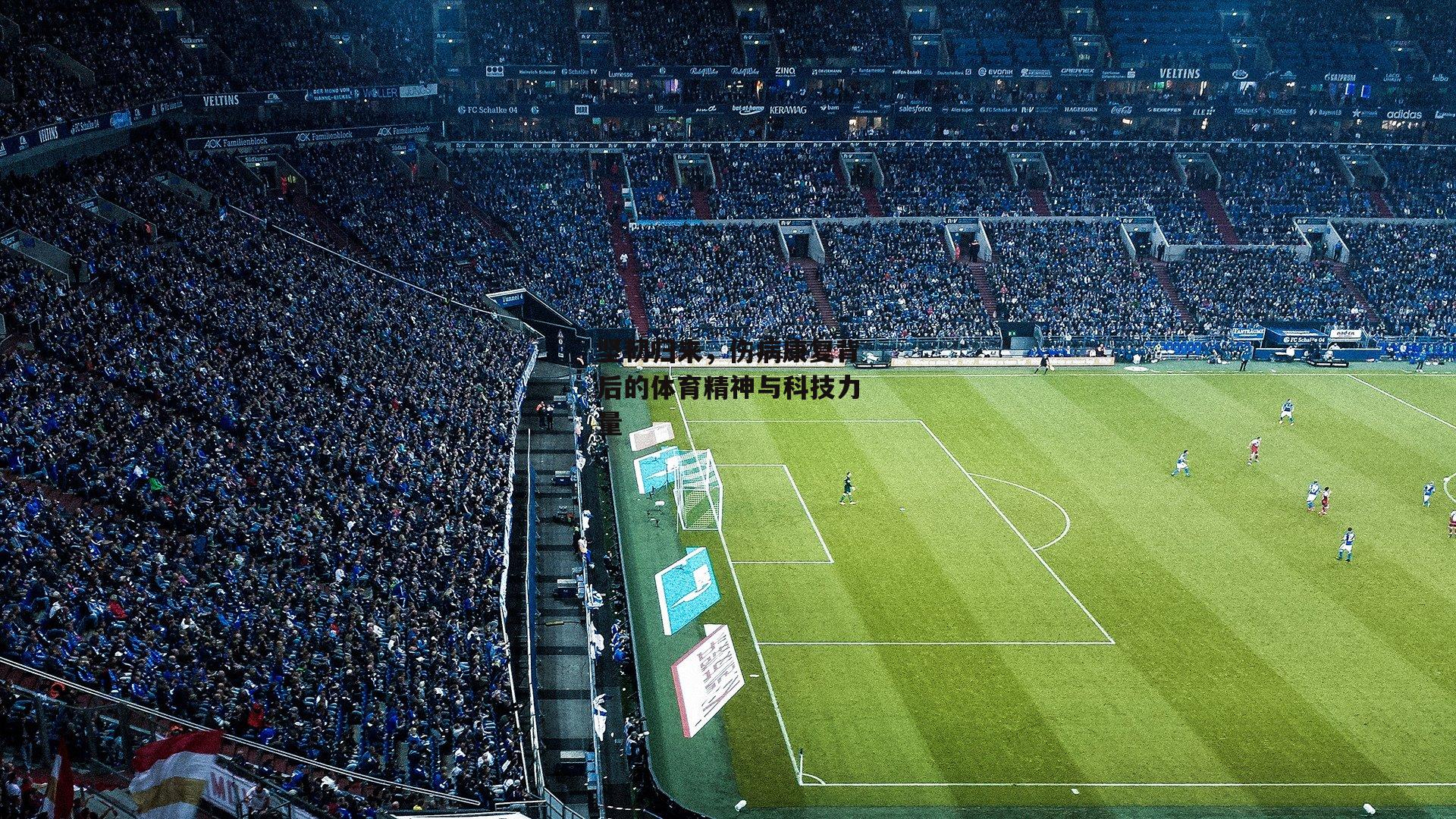 坚韧归来，伤病康复背后的体育精神与科技力量|熊猫体育